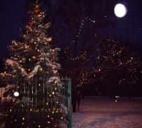 Xmas-lights-switch-on-2010-1